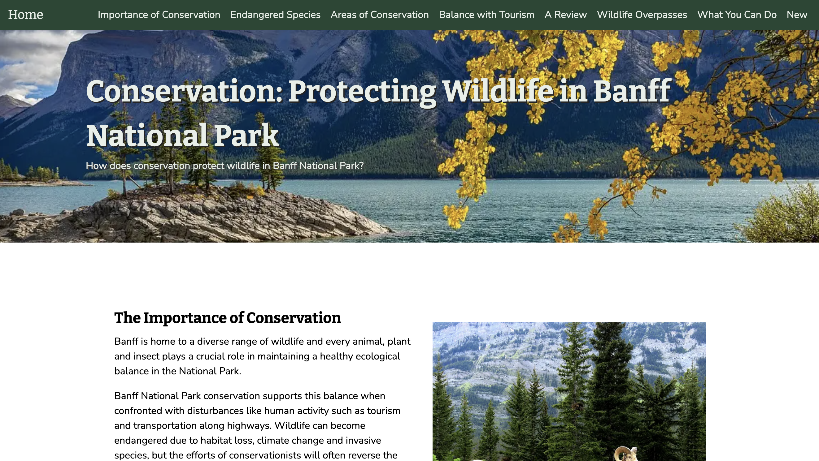 A beautiful wildlife image used on the website.